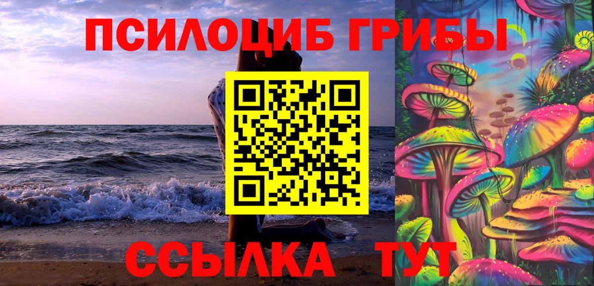 Галлюциногенные грибы Psilocybe  Вход с VPN  Назарово 